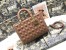 Dior Lady Dior Large Bag in Blush Cannage Lambskin