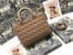 Dior Lady Dior Large Bag in Blush Ultramatte Cannage Calfskin