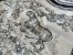 Dior Toile de Jouy Sauvage 90 Square Scarf in Grey Silk Twill