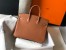 Hermes Birkin 25cm Bag in Gold Clemence Leather with GHW