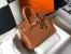 Hermes Birkin 25cm Bag in Gold Clemence Leather with GHW