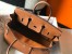 Hermes Birkin 25cm Bag in Gold Clemence Leather with GHW