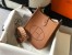 Hermes Mini Evelyne 16 Amazone Bag in Gold Clemence Leather