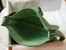 Hermes Evelyne III 29 Bag in Vert Criquet Clemence Leather