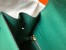 Hermes Kelly 25cm Sellier Bag in Malachite Epsom Leather with GHW