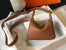 Hermes Lindy Mini Bag in Gold Clemence Leather with GHW