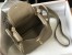 Hermes Lindy Mini Bag in Tourterelle Clemence Leather with GHW