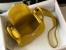 Hermes Lindy Mini Bag in Yellow Clemence Leather with GHW
