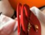 Hermes Birkin 35cm Bag in Red Clemence Leather with GHW