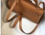 Hermes Kelly Mini II Sellier Bag in Gold Epsom Leather