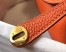 Hermes Lindy Mini Bag in Orange Clemence Leather with GHW