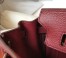 Hermes Birkin 25cm Bag in Bordeaux Clemence Leather with GHW