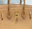 Hermes Birkin 25cm Bag in Chai Clemence Leather with GHW