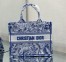 Dior Medium Book Tote Bag In Blue Transparent Toile de Jouy Canvas