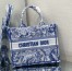 Dior Medium Book Tote Bag In Blue Transparent Toile de Jouy Canvas