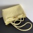 Bottega Veneta Andiamo Medium Bag In Ice Cream Intrecciato Lambskin