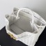 Bottega Veneta Andiamo Medium Bag In White Intrecciato Lambskin