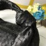 Bottega Veneta Jodie Small Bag in Black Intrecciato Lambskin