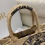 Dior Small Book Tote Bag In Beige Jute Canvas with Dior Union Motif