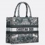 Dior Medium Book Tote Bag in Blue Dior Around the World Embroidery