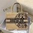 Dior Medium Book Tote Bag In Beige Jute Canvas with Dior Union Motif