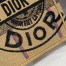 Dior Medium Book Tote Bag In Beige Jute Canvas with Dior Union Motif