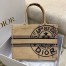 Dior Medium Book Tote Bag In Beige Jute Canvas with Dior Union Motif