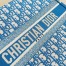 Dior Medium Book Tote Bag In Blue Oblique Embroidery 