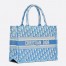 Dior Medium Book Tote Bag In Blue Oblique Embroidery 