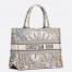 Dior Medium Book Tote Bag In Multicolor Rêve d'Infini Embroidery