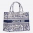 Dior Medium Book Tote Bag In Blue Toile De Jouy Embroidery