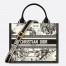 Dior Small Book Tote Bag with Strap in Zodiac Embroidery and Black Calfskin 