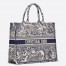 Dior Large Book Tote Bag In Blue Toile de Jouy Embroidery