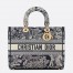 Dior Lady D-Lite Large Bag in Blue Toile de Jouy Reverse Embroidery