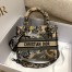 Dior Lady D-Lite Medium Bag In Beige Jardin d'Hiver Embroidery