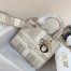 Dior Lady D-Lite Medium Bag In Beige Stripes Embroidery