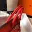 Hermes Birkin 25cm Bag in Red Clemence Leather with GHW