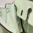Hermes Birkin 25cm Bag in Vert Fizz Clemence Leather with PHW