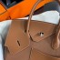 Hermes Birkin 30 en Desordre Bag in Gold Swift and Clemence Leather 