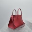 The Row Margaux 12 Top Handle Bag in Red Leather
